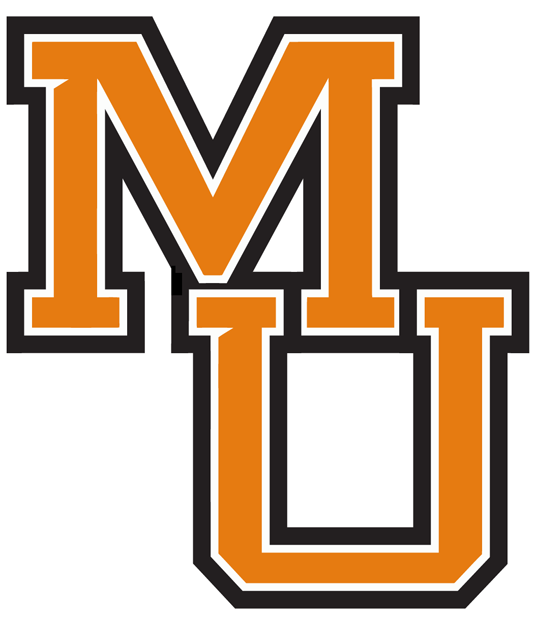 Mercer Bears 0-Pres Wordmark Logo iron on transfers for fabric
